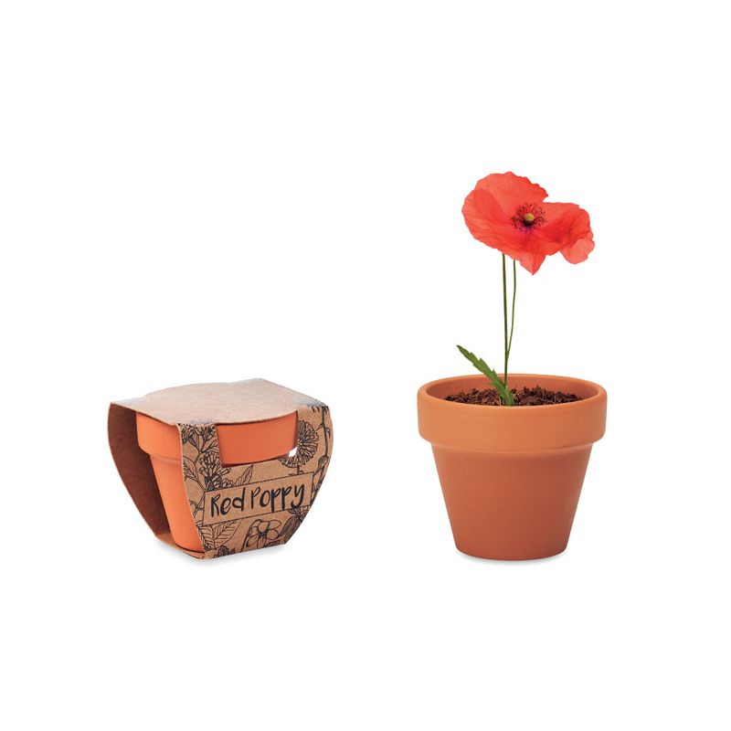 Terracotta vase 'poppy'