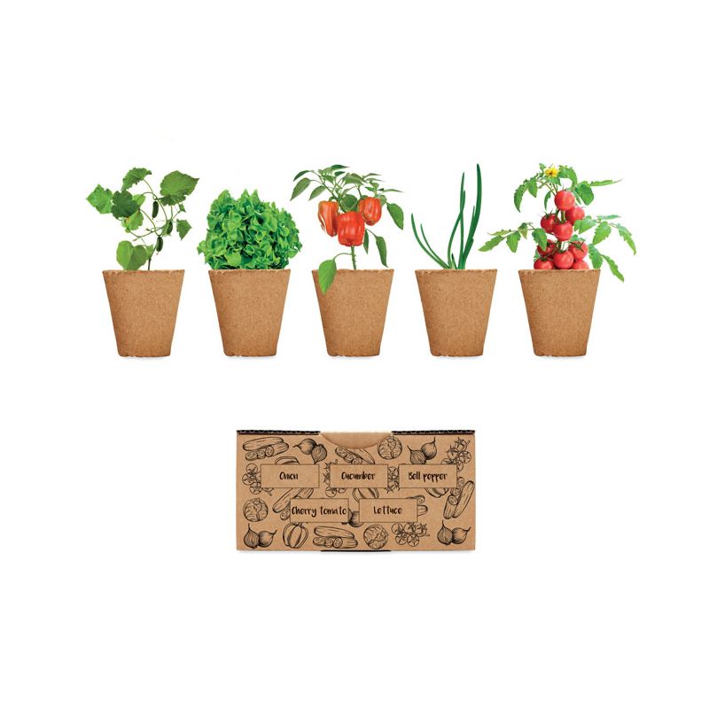 Salad growing kit