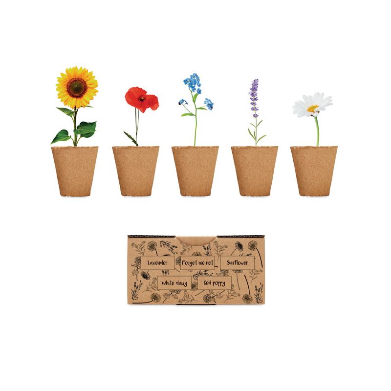 Flower growing kit