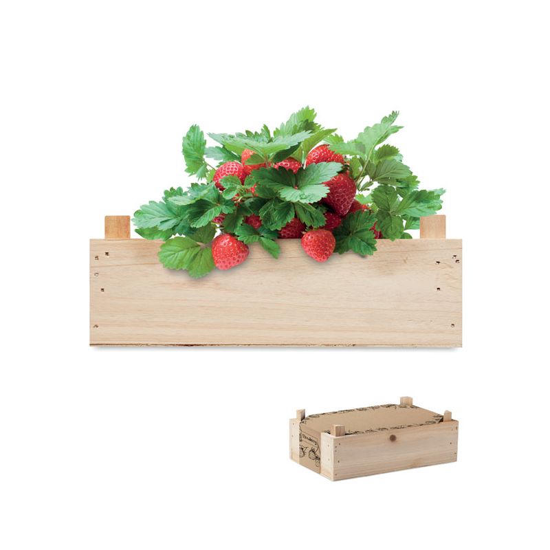 Strawberry kit wooden box