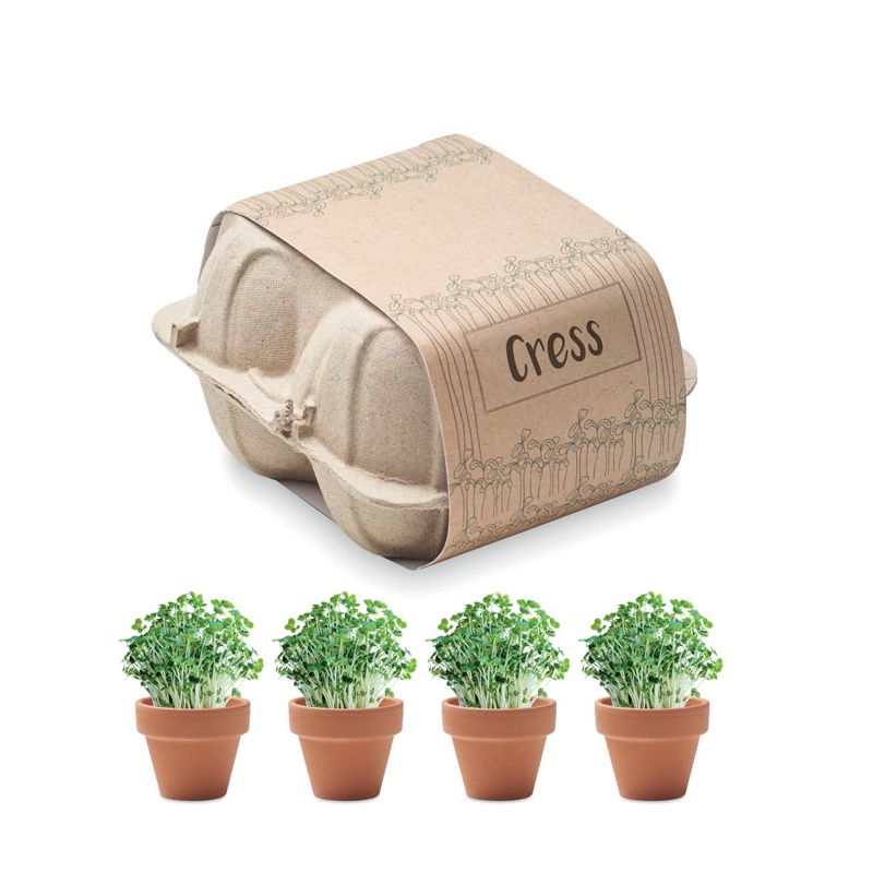 Egg carton growing kit