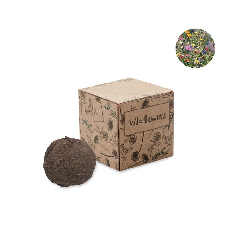 Seed Bomb Growing Kit