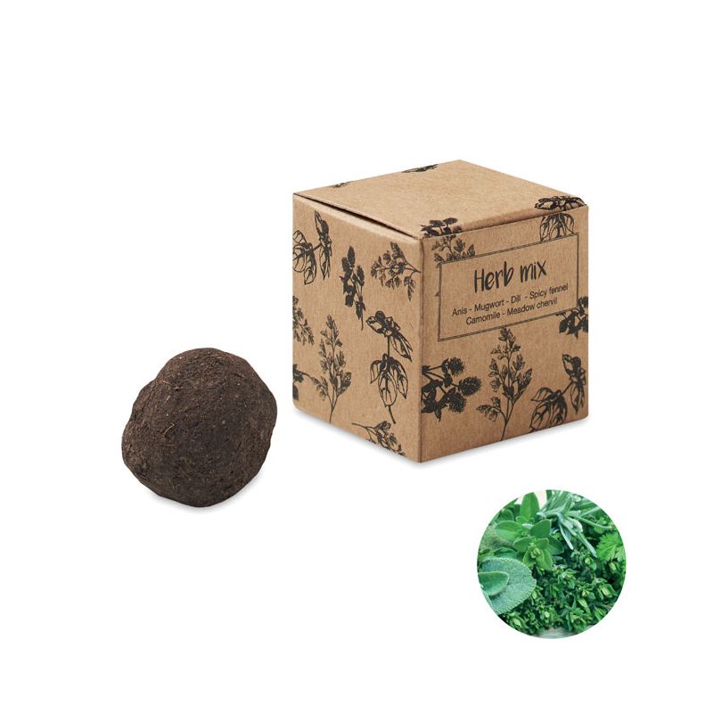 Herb seed kit