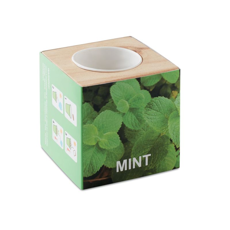 Mint Seed Holder