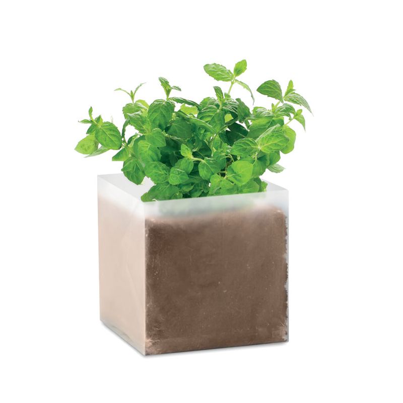 Mint Seed Mix