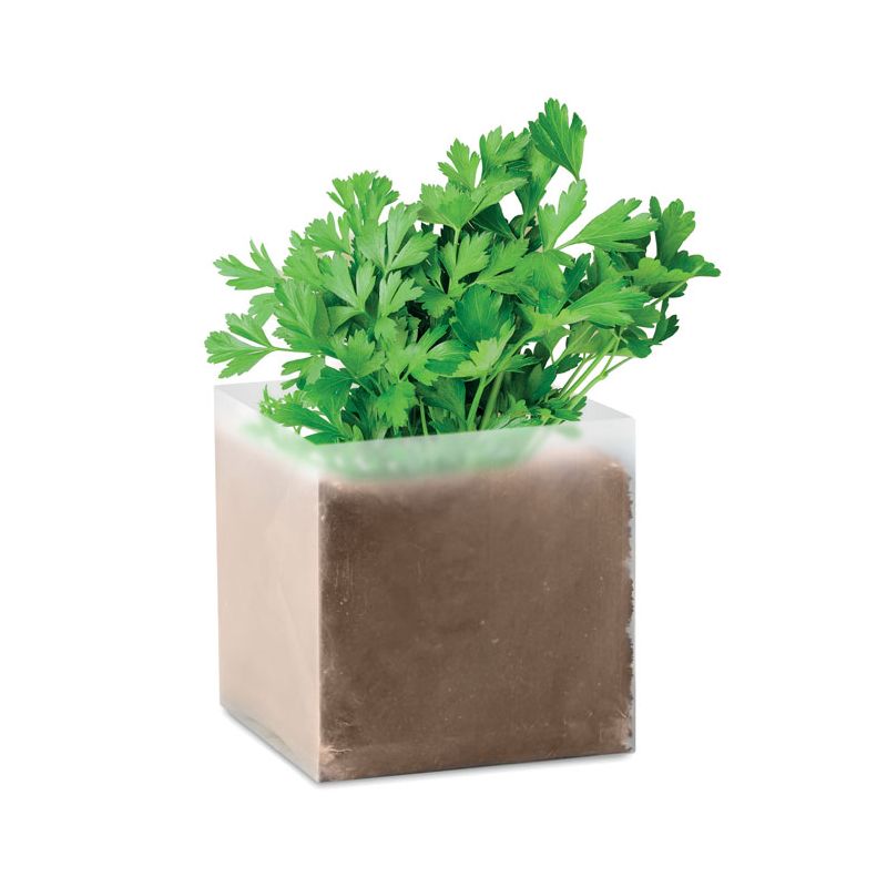 Compound Parsley Seeds
