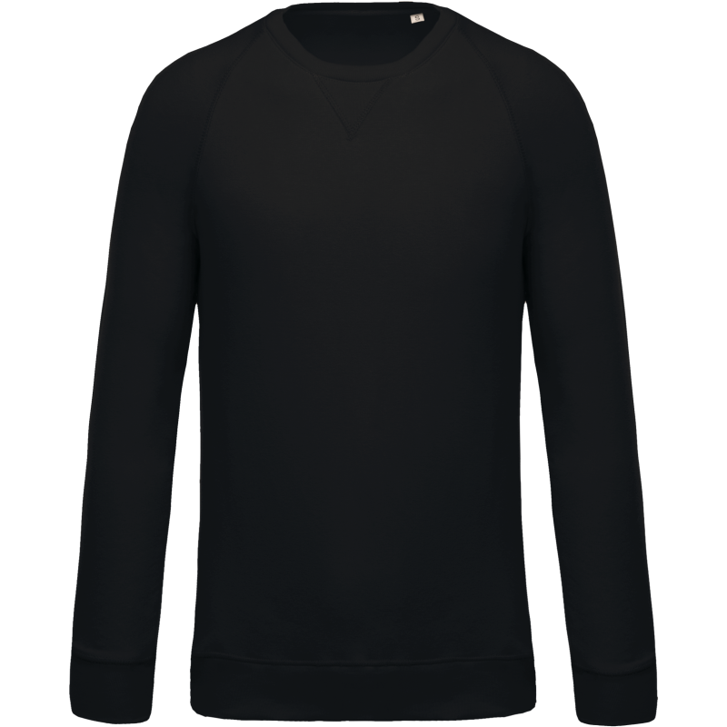 Men's BIO sweatshirt with crew neck and raglan sleeves