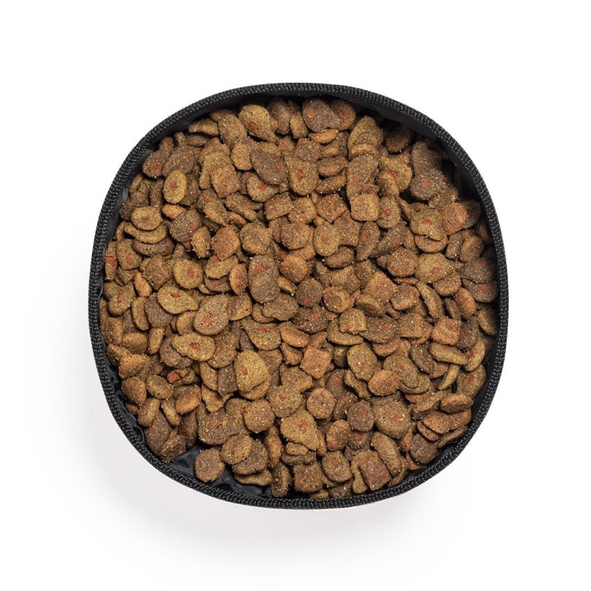 Poppy Collapsible Bowl