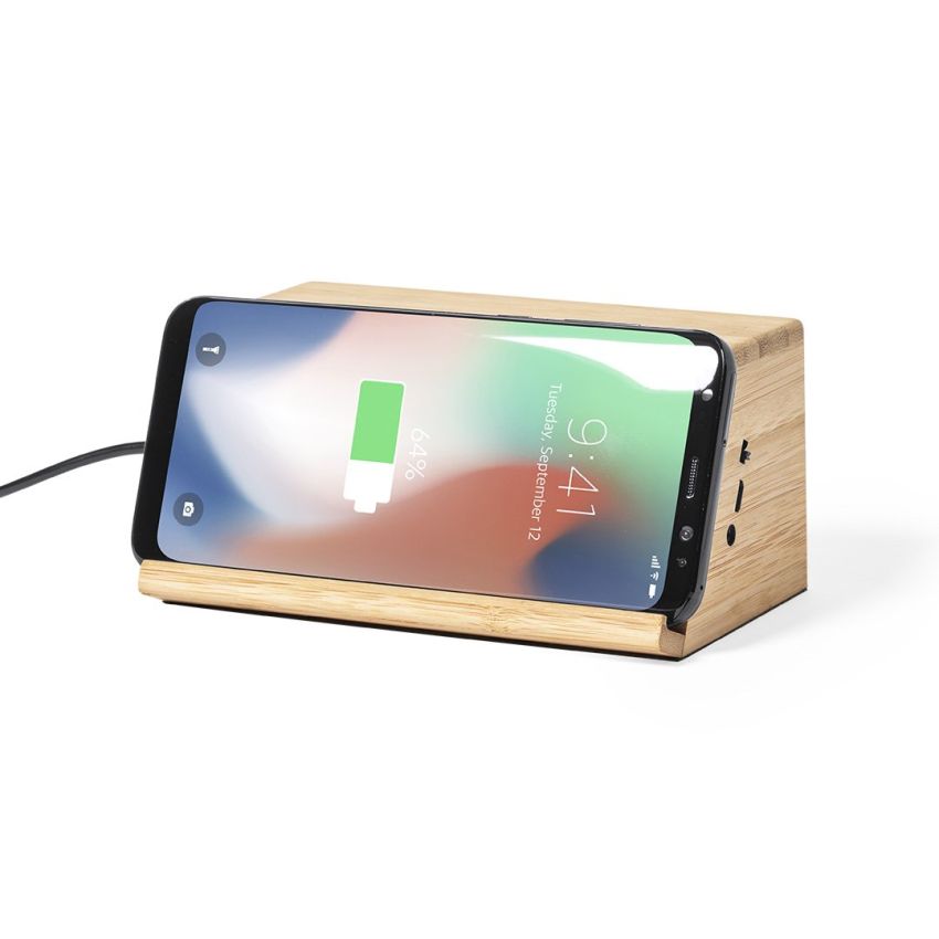 Zaphir Speaker Charger