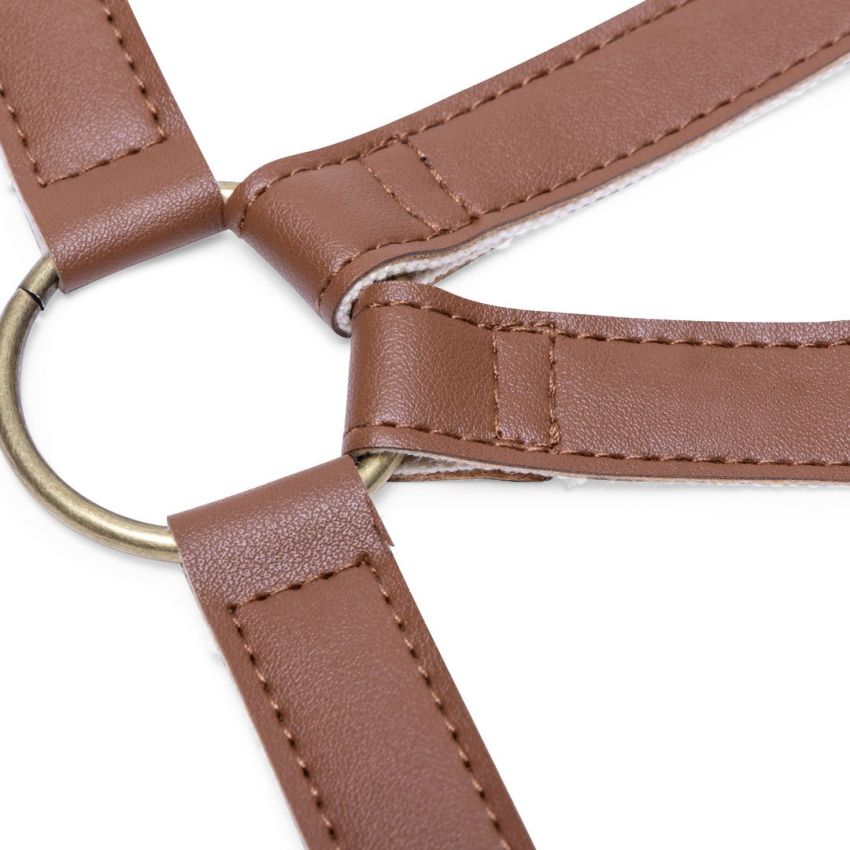 Apron Torrent