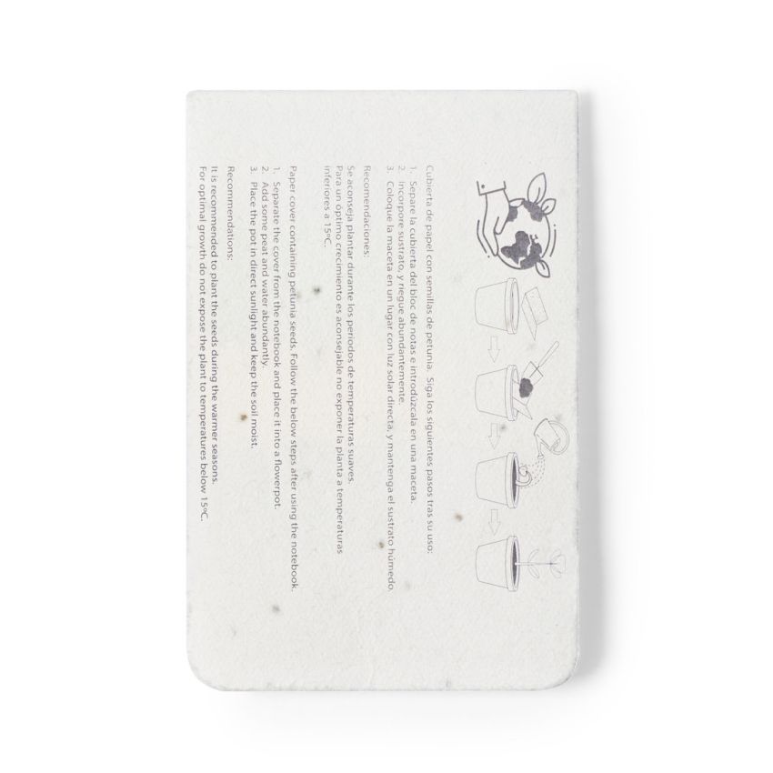 Amenti Seeds Notepad