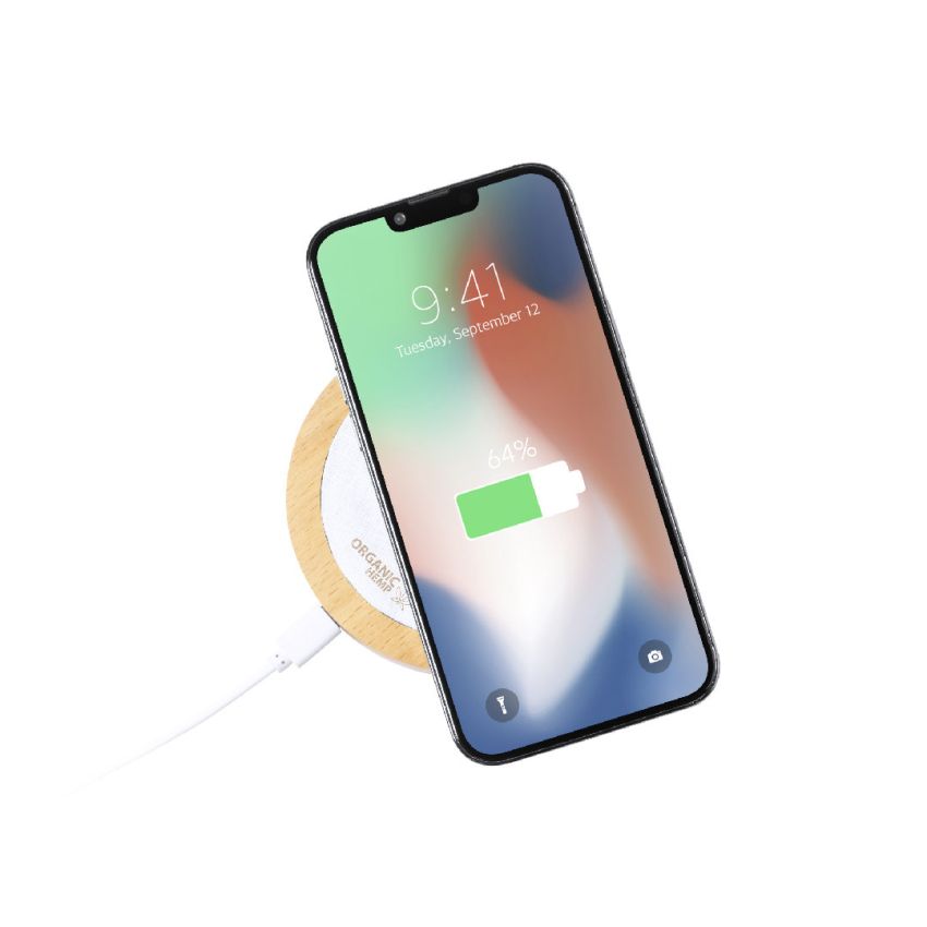 Kuzgal Charger