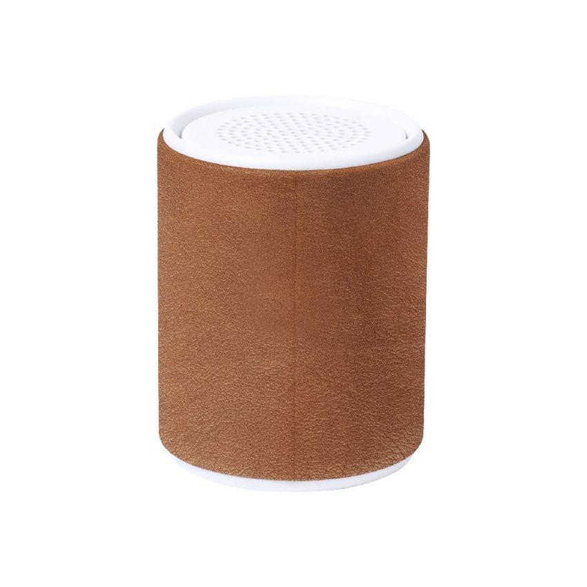 Sotep RCS Loudspeaker