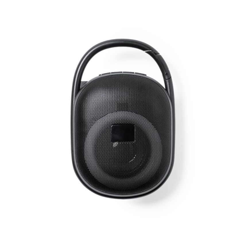 Walen Loudspeaker