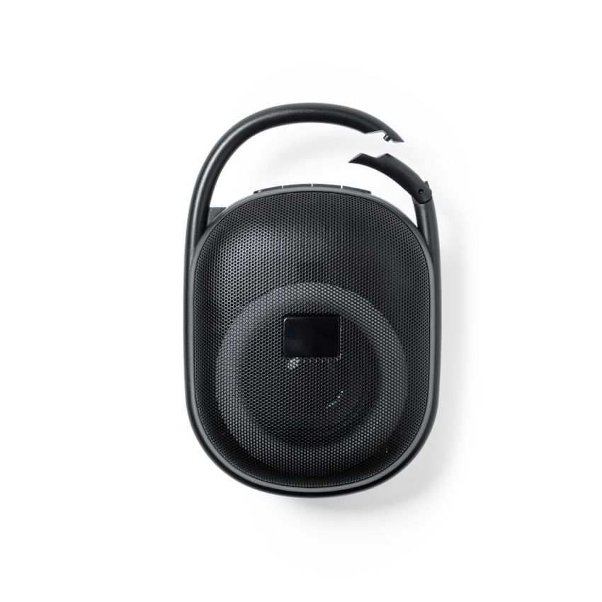 Walen Loudspeaker
