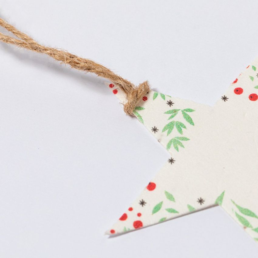 Ornament Seeds Boster