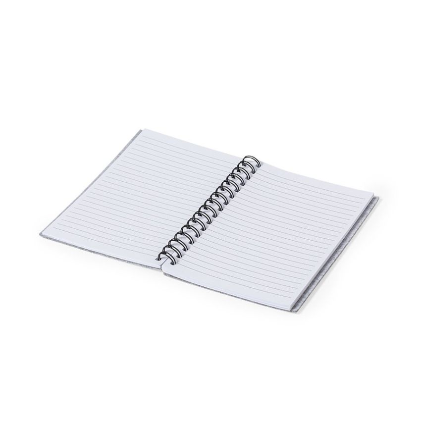 Fionap Notebook