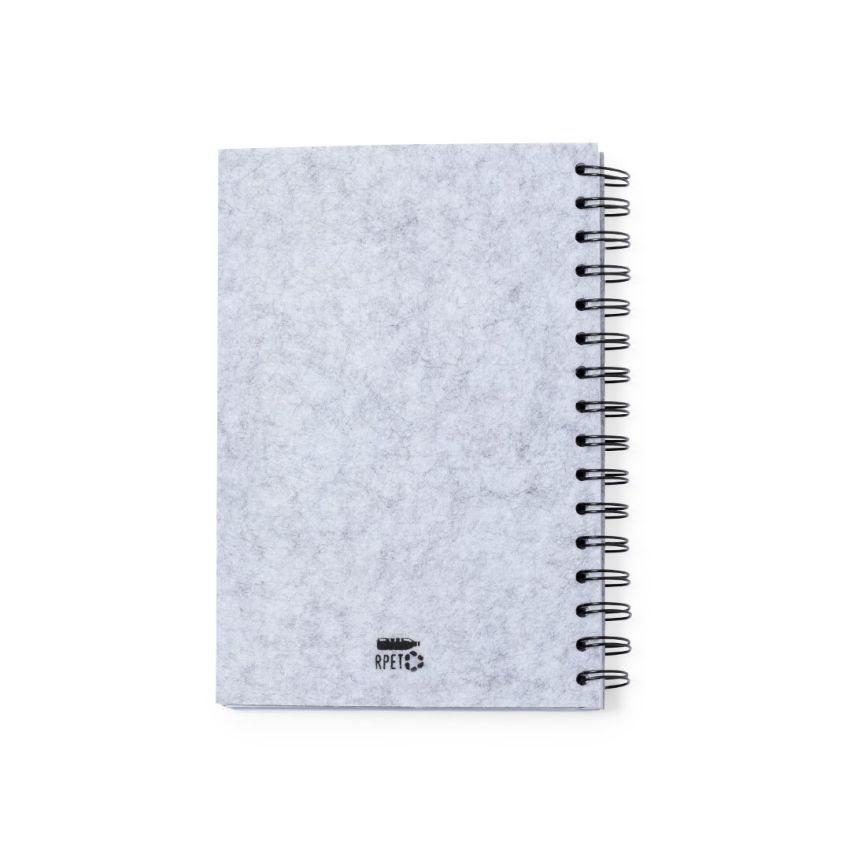 Fionap Notebook