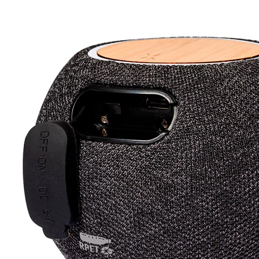 Cedric Speaker Charger
