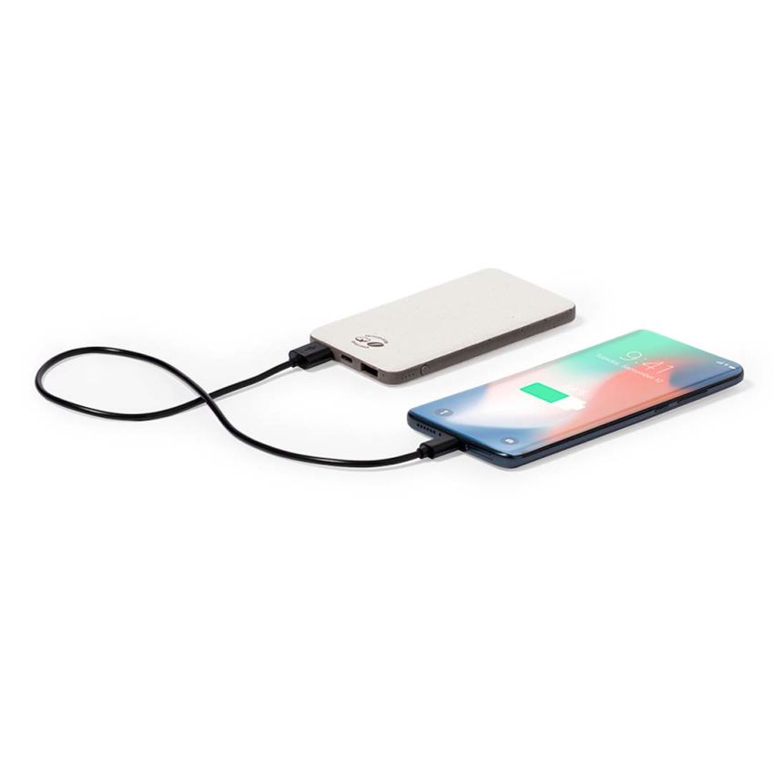 Power Bank Mayor
