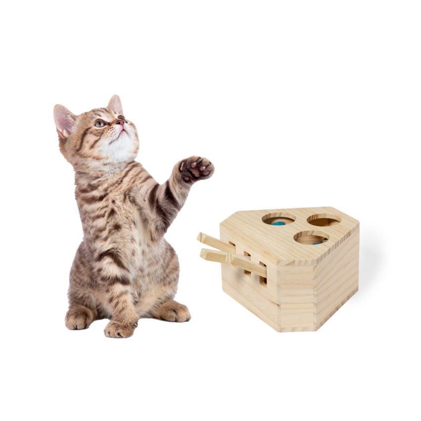 Pet Toy Set Kesel