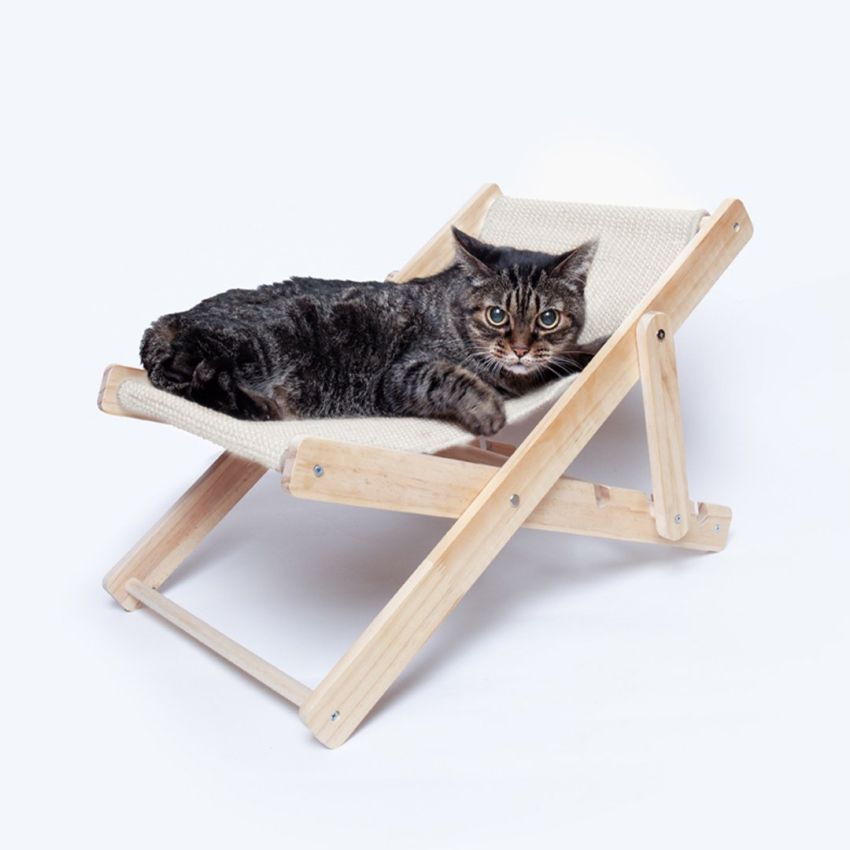 Diny Pet Chair
