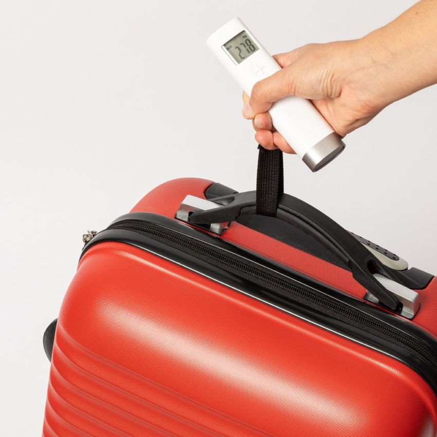 Daley Luggage Scale