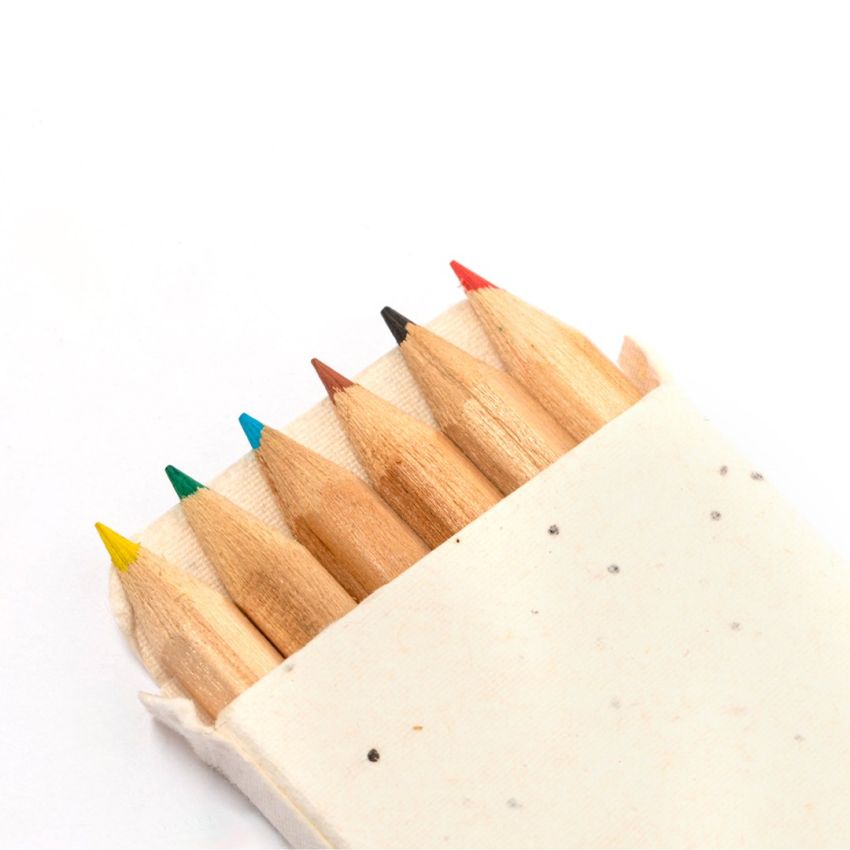 Delar Seed Pencil Box