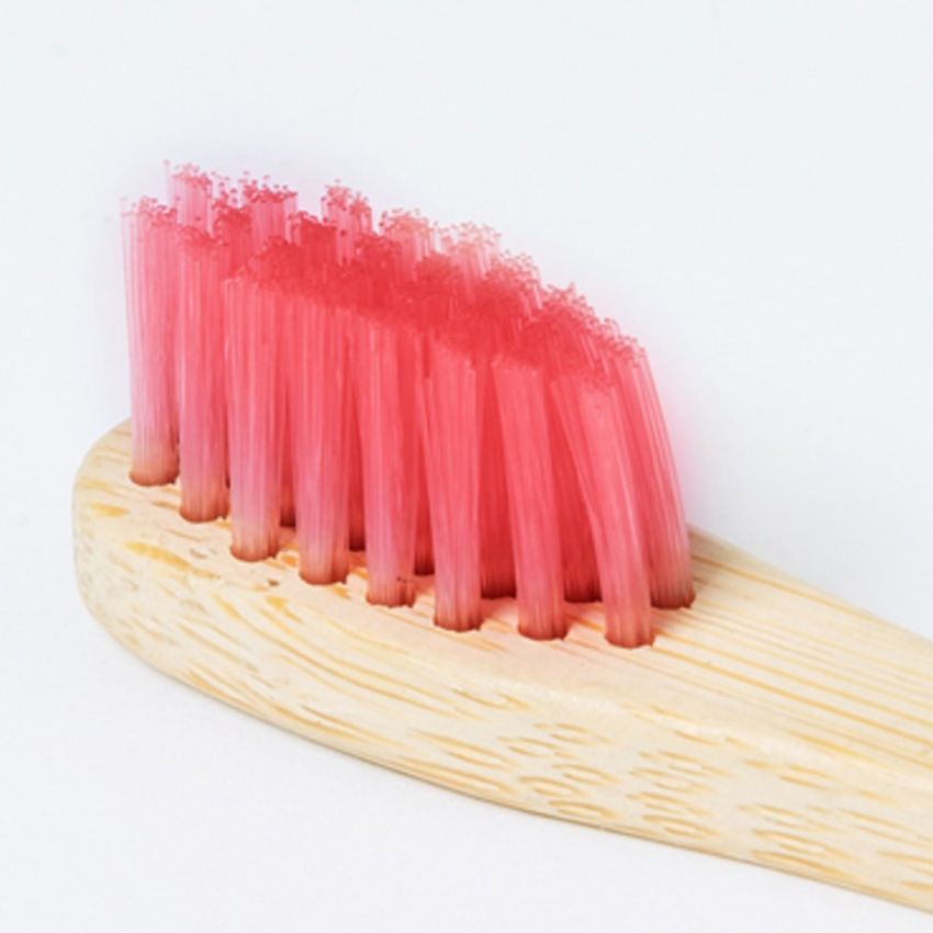 Becu Toothbrush