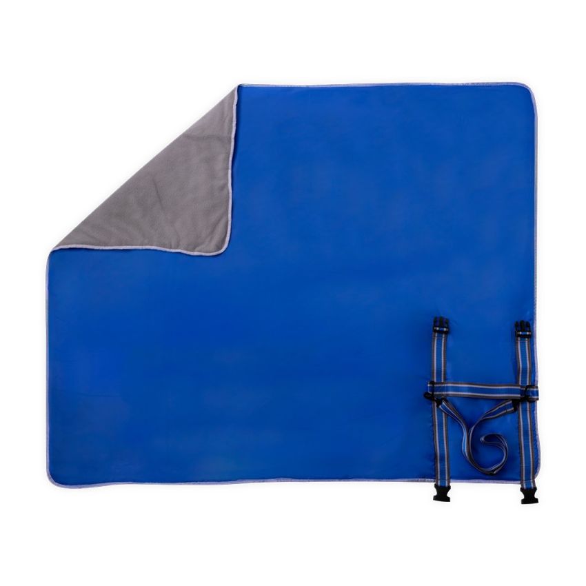 Picnic Blanket Zoran