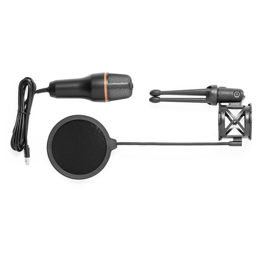 Densha Condenser Microphone
