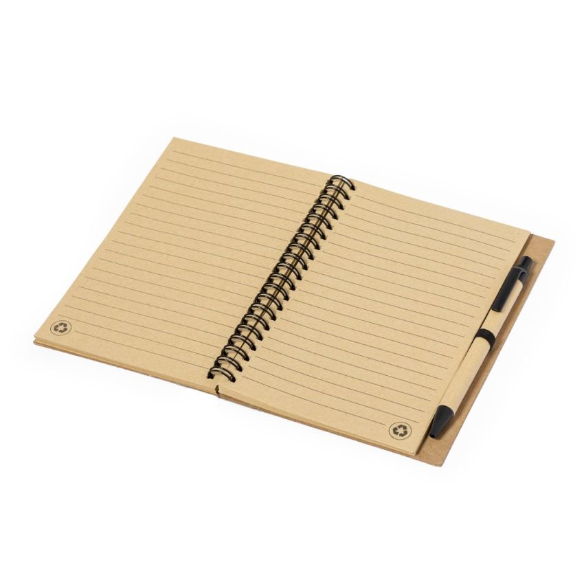 Gienah Notebook