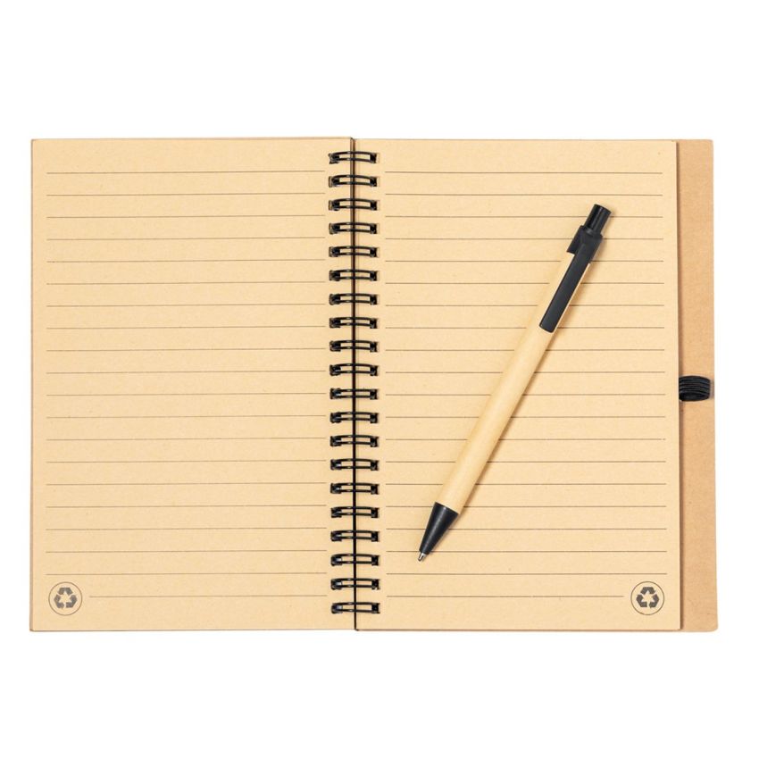 Gienah Notebook