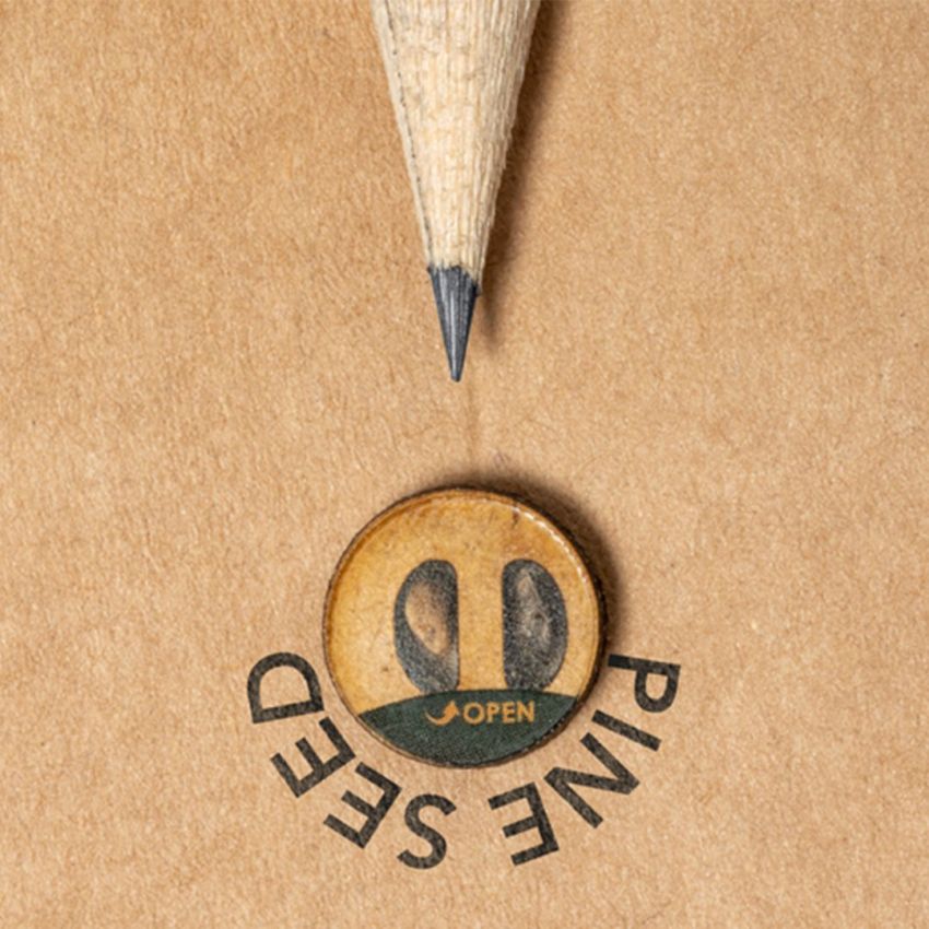 Etesio Seed Pencil