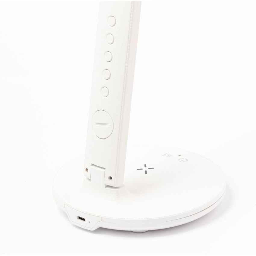 Evanex Multifunction Lamp