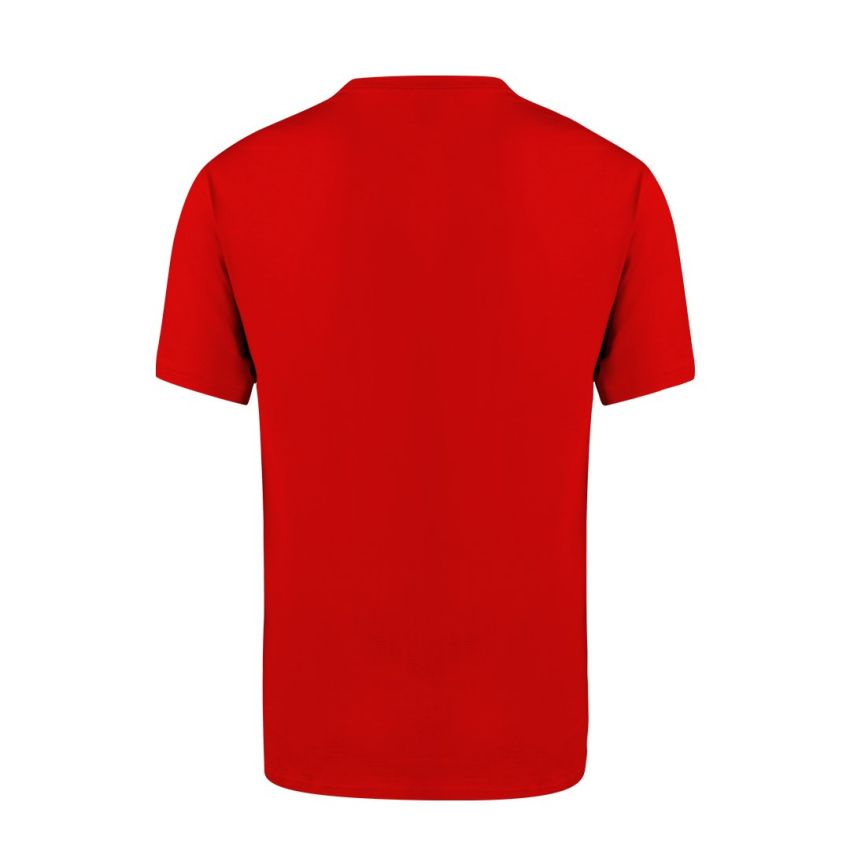 Adult T-Shirt Colour Seiyo