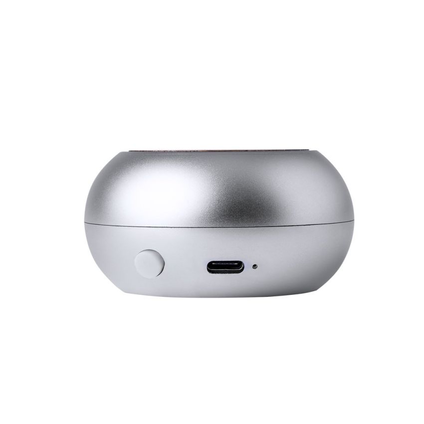 Hiwent Loudspeaker