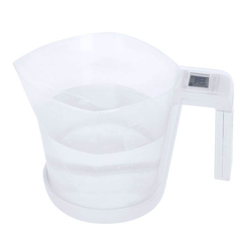Plazix Weighing Scale