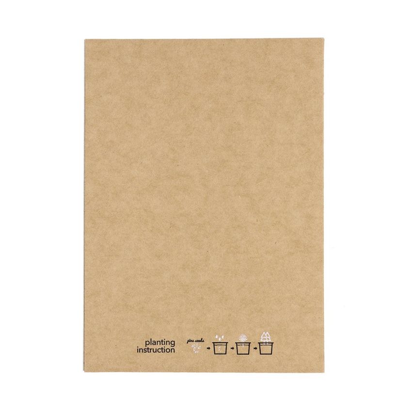 Astrox Christmas Ornament Postcard