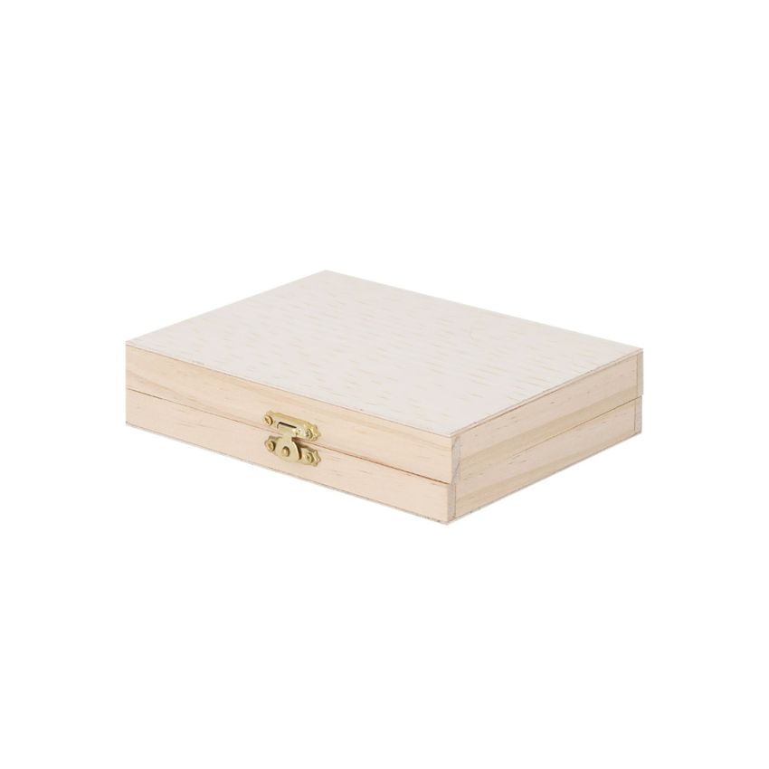 Lidner Case