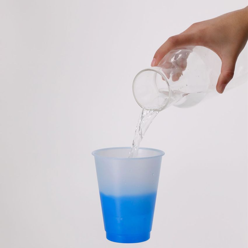 Yanin Cup