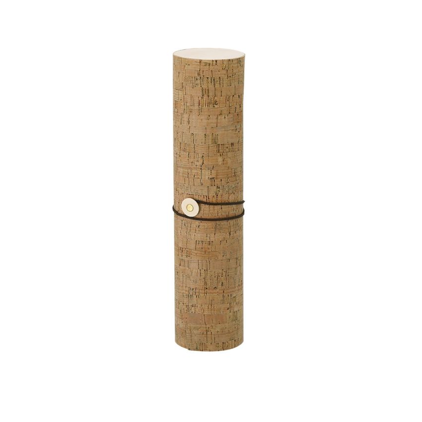 Baremon Presentation Case