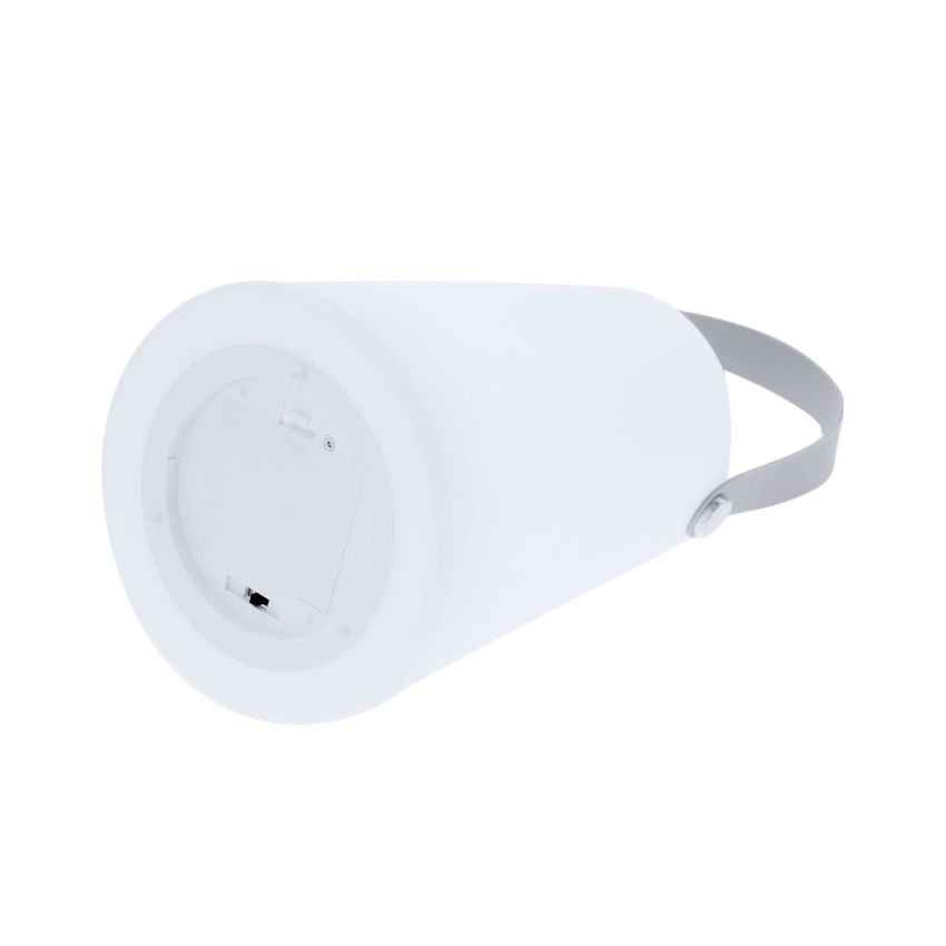 Tuxfan Lamp