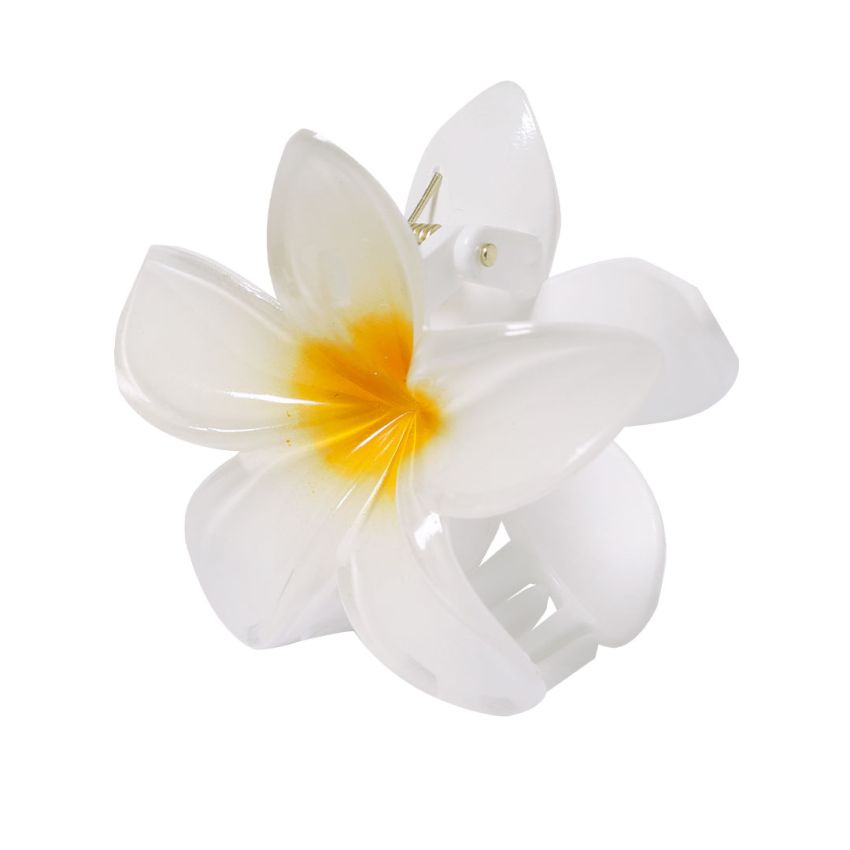 Tixcon Hair Clip