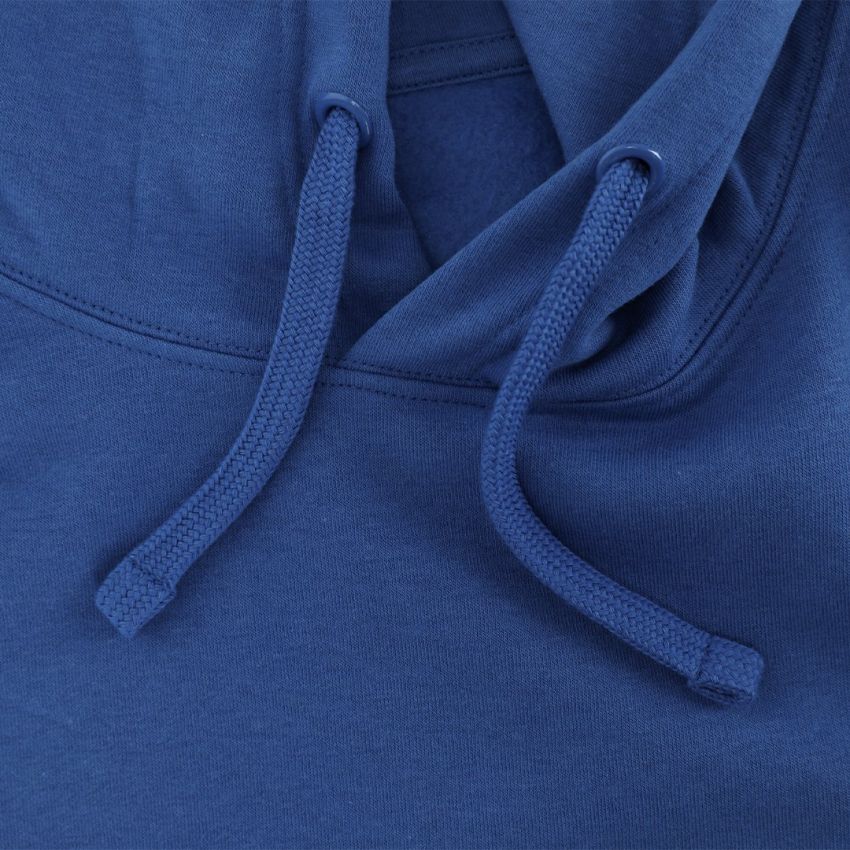 Draco Adult Sweatshirt