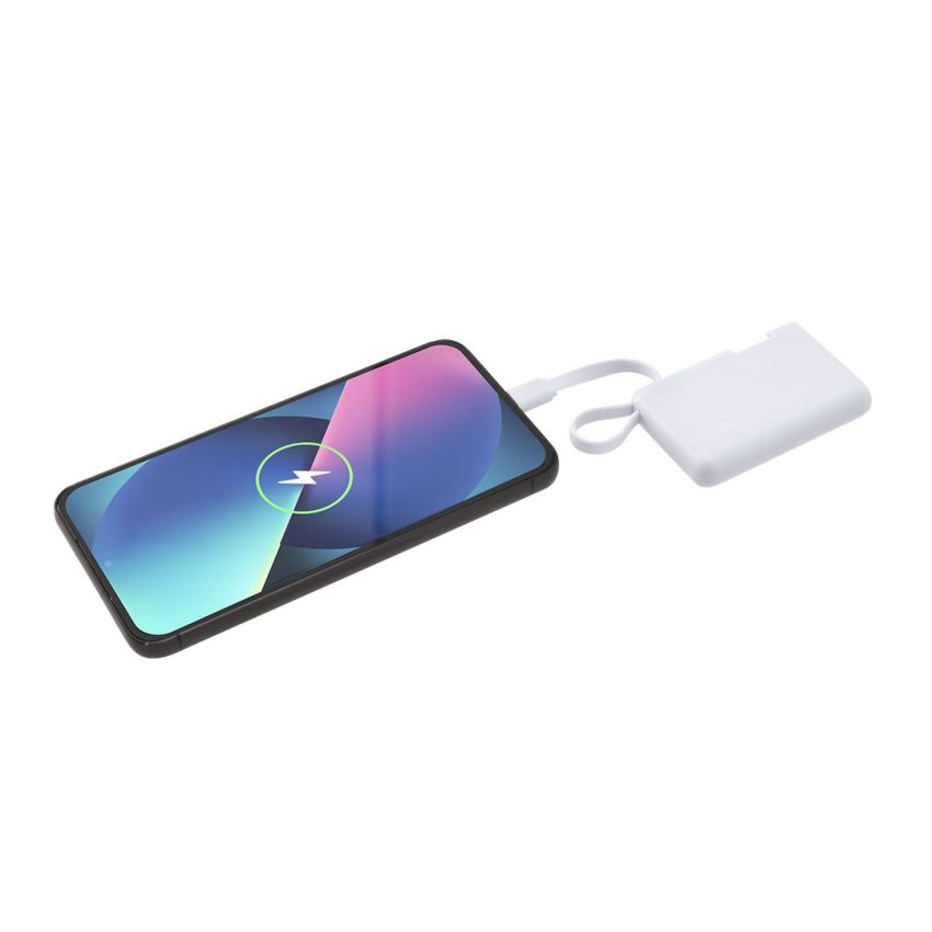 Power Bank Branding