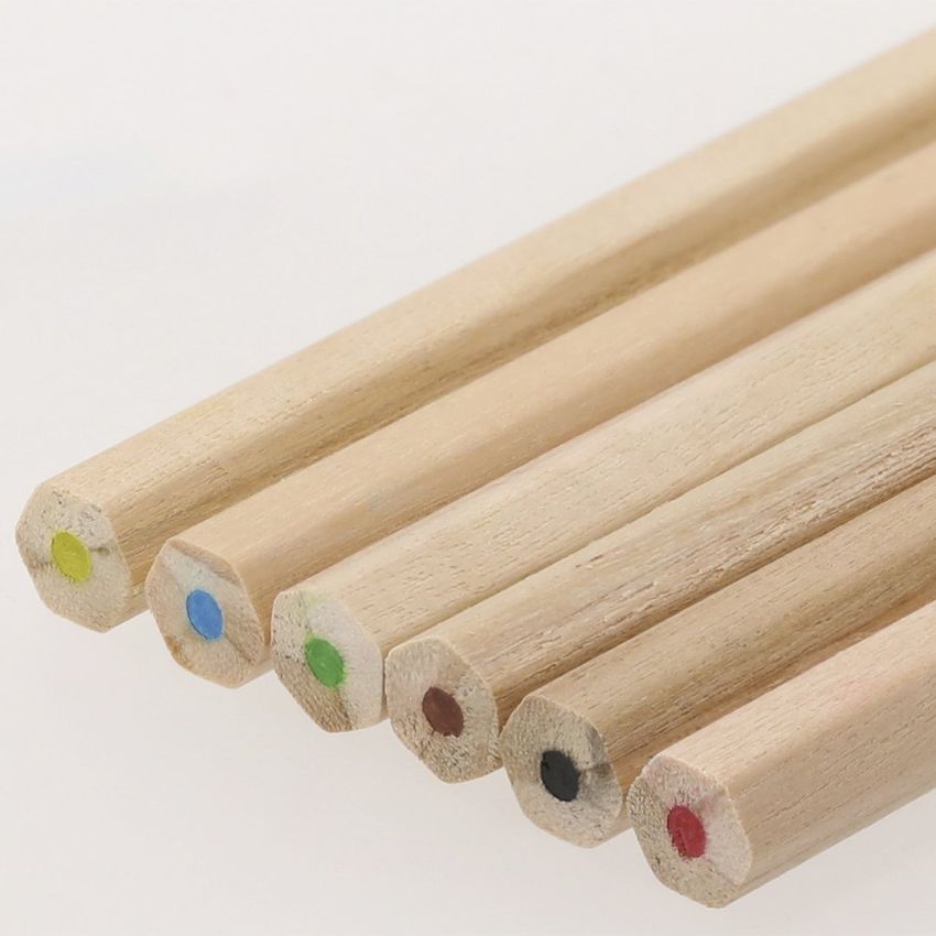 Osprey Pencil Box