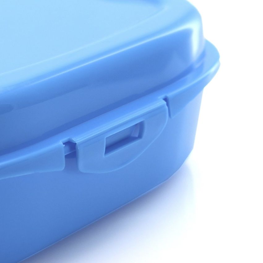 Sandwich Nut Lunchbox