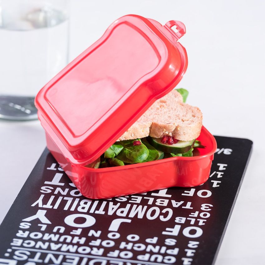 Sandwich Nut Lunchbox