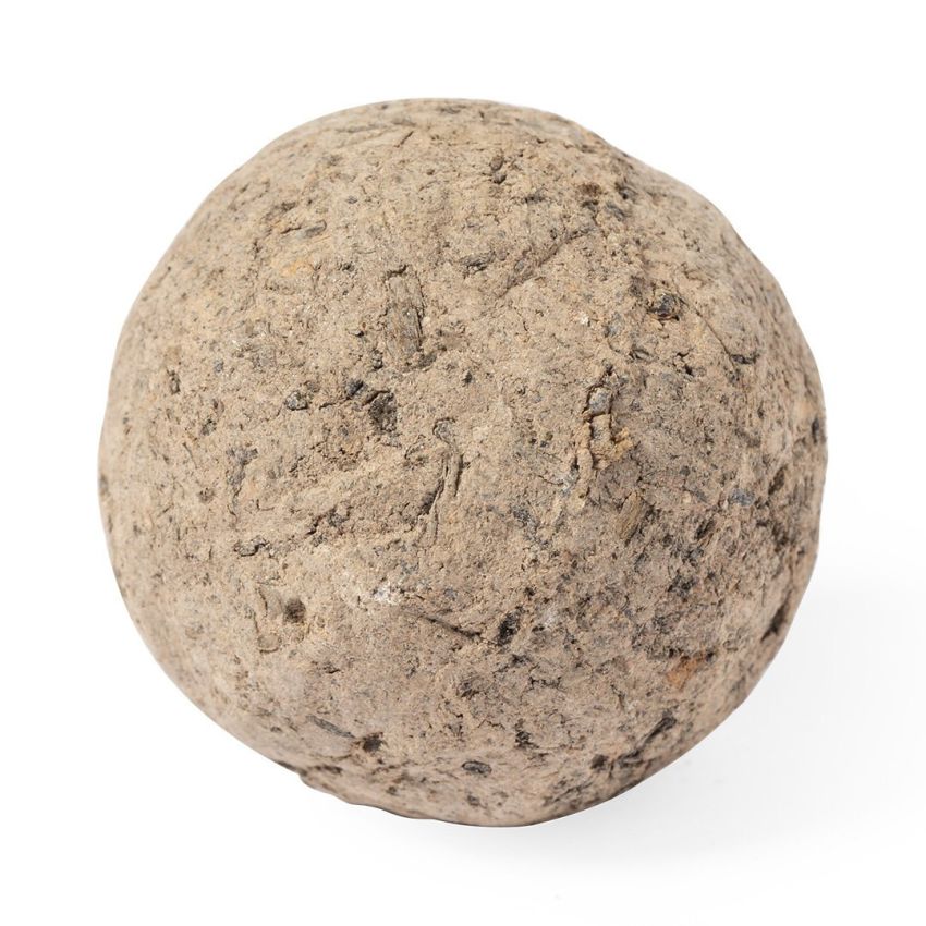 Mussox Seed Candy